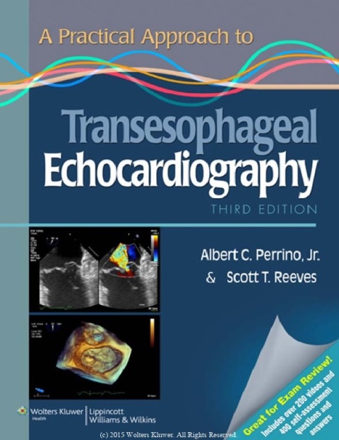 A Practical Approach to Transesophageal Echocardiography Third Edition.